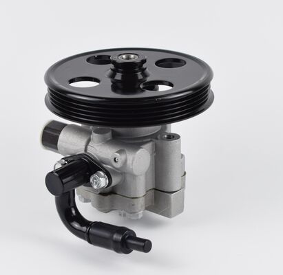 Kraftlenkpumpe aus China Auto-Chassis-System-Teile hohe Präzision 1102DAA03701N 60bar zwei Rohre